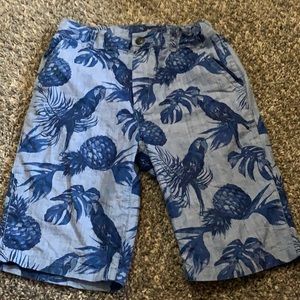 Boys size 12 Great Condition Parrot shorts